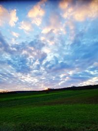 Scenic view of field against sky