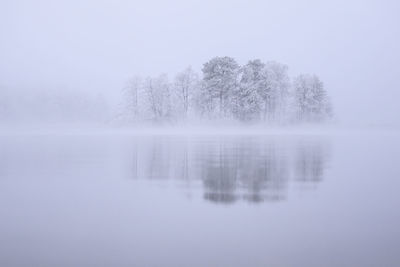 Trees by lake against sky during winter