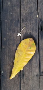 High angle view of yellow leaf on wooden table