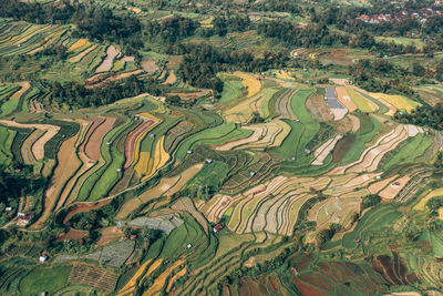 Aerial view of landscape