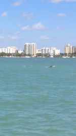 Buildings in distance with waterfront