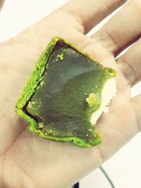 High angle view of young woman holding leaf