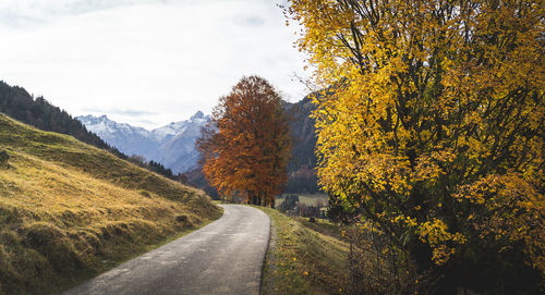 Road amidst trees against sky during autumn