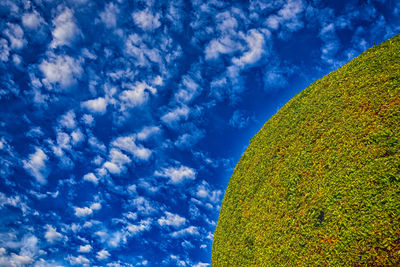 Low angle view of hedge against cloudy blue sky