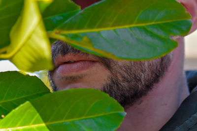 Close-up portrait of man with green leaves