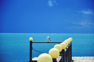 Close-up of railing by sea against blue sky