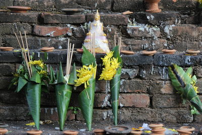 Potted plants against wall