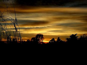 Silhouette trees against dramatic sky during sunset