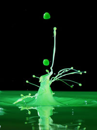 Close-up of water drops on black background