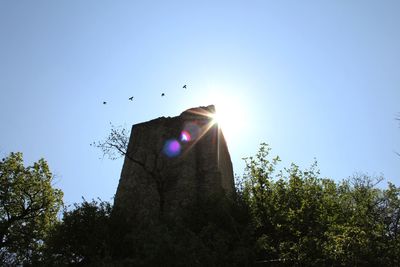 Low angle view of birds flying against clear sky