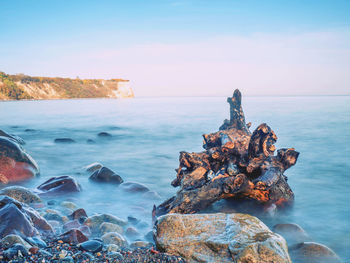 White cliffs of kap arkona. coast at the wittow peninsula, just north of the jasmund national park