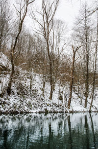 Bare trees by lake during winter