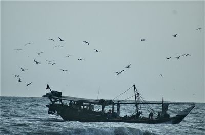 sea