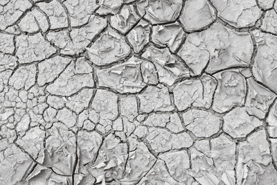 Cracks on the floor make ravines in the ground. black and white close-up shot of dried mud.