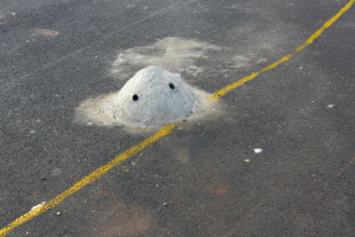 High angle view of birds on road