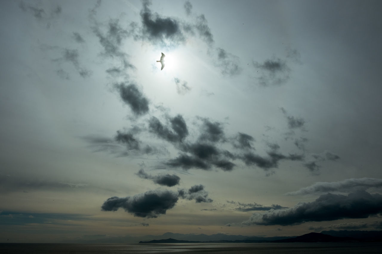 LOW ANGLE VIEW OF DRAMATIC SKY OVER SILHOUETTE LANDSCAPE