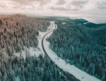 Aerial view of snow covered forest against sky