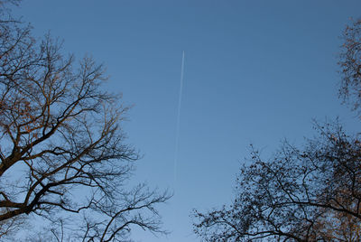 Low angle view of bare tree against clear blue sky