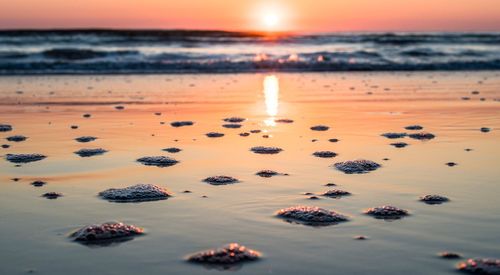 Close-up of water on beach against sky during sunset