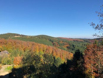 Scenic view of landscape against clear blue sky