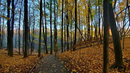 Fall day in nature 