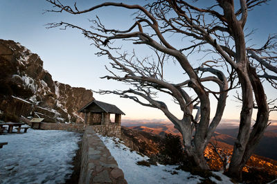 Bare trees on snow covered landscape against sky
