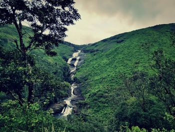 Water falls across the green valley