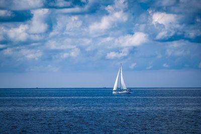Sailboat sailing in sea against sky