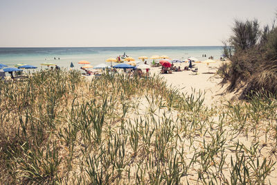 Scenic view of beach against clear sky