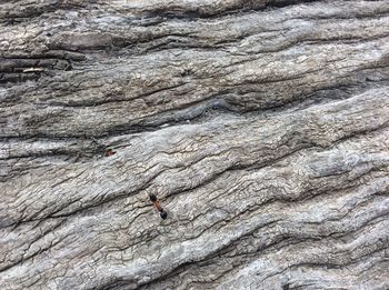 Full frame shot of a rock