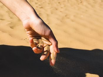 Midsection of person holding sand at beach