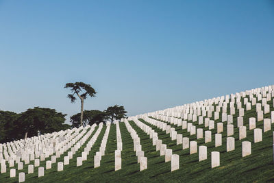 Row of cemetery against clear sky