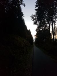 Road amidst trees against sky