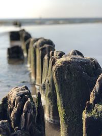 Close-up of rocks on beach against sky
