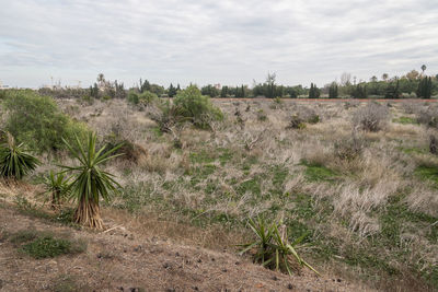 Scenic view of land against sky