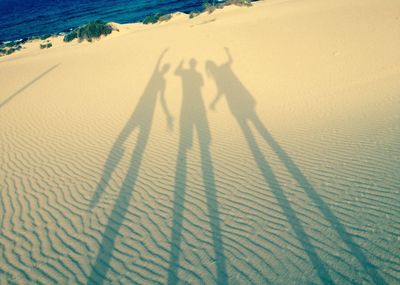 Shadow of people on landscape