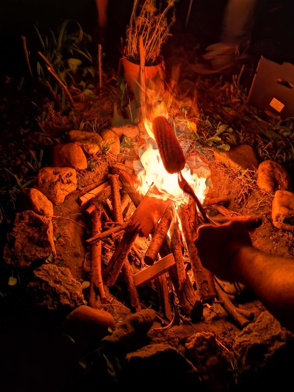 flame, burning, heat - temperature, fire - natural phenomenon, fire, bonfire, night, firewood, nature, log, glowing, human hand, wood, campfire, hand, wood - material, human body part, real people, camping, food, outdoors, finger