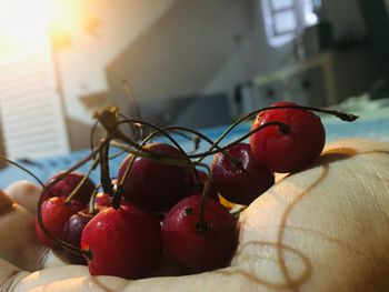 Close-up of hand holding cherries