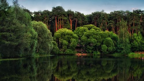 Scenic view of lake by trees against sky