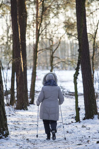 Rear view of man standing on snow covered trees in forest