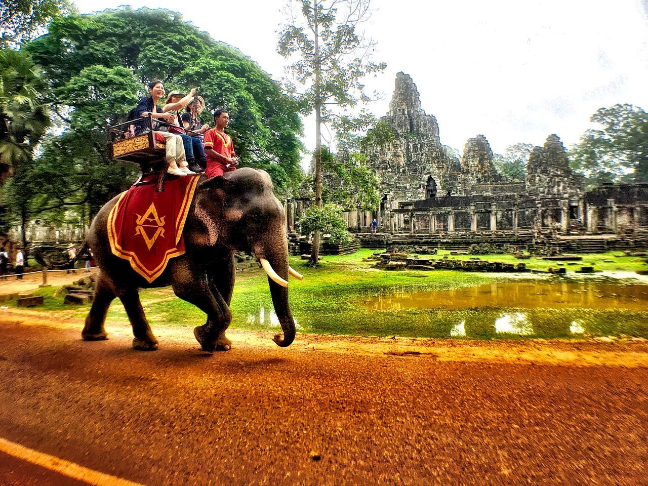 VIEW OF ELEPHANT AT TEMPLE