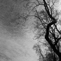 Low angle view of bare trees against cloudy sky