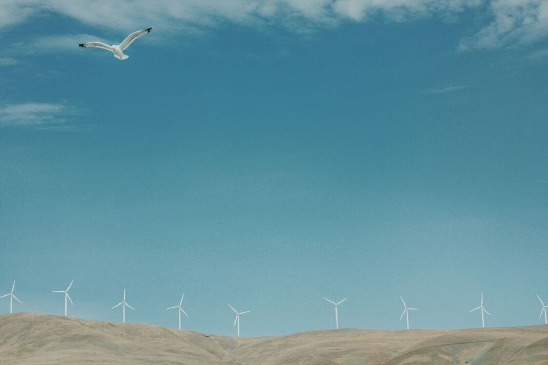 WIND TURBINES ON FARM AGAINST SKY