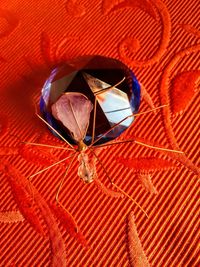 High angle view of multi colored umbrella