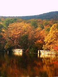 Scenic view of lake against clear sky