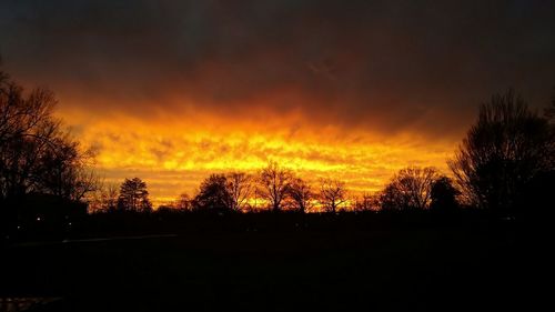 Silhouette trees against orange sky