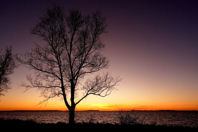 Bare tree by sea against sky during sunset