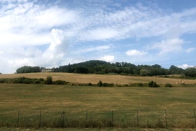 Scenic view of field against sky