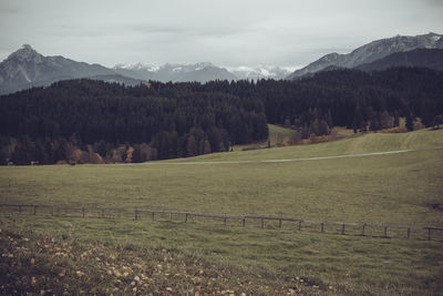 Scenic view of landscape against sky