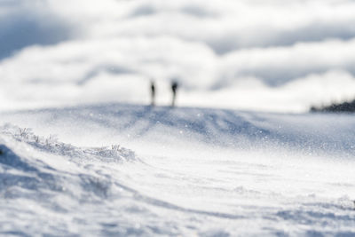 People on snowcapped mountain against sky